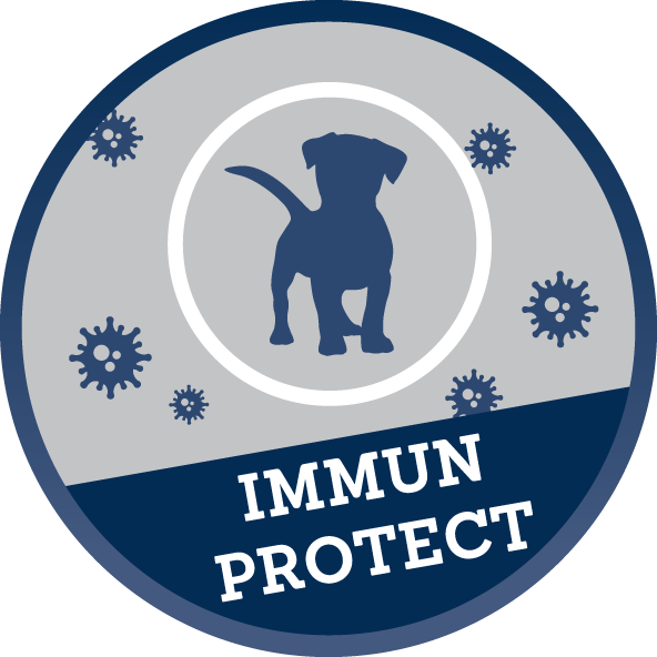 Immun Protect Junior